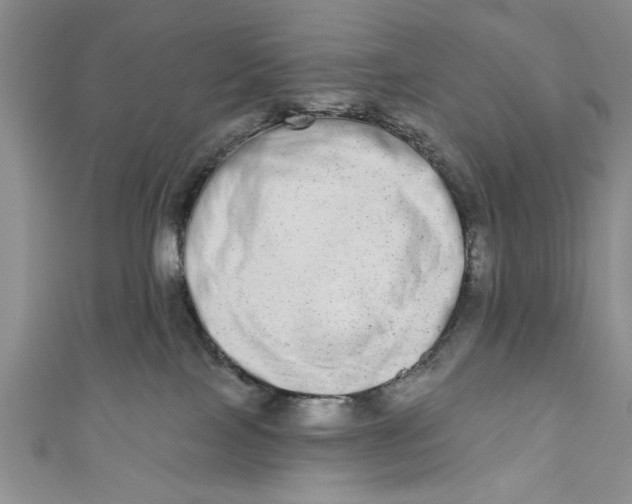 X0000110860089200907021424