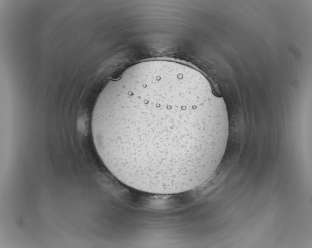 X0000110860090200907021424