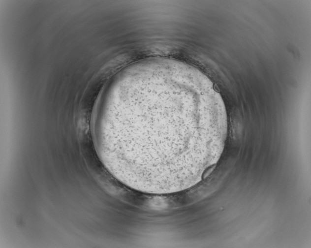 X0000110860091200907021424