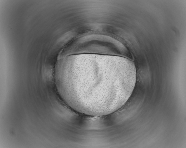 X0000110860092200907021424