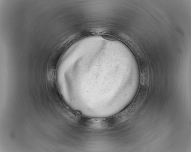 X0000110860093200907021424