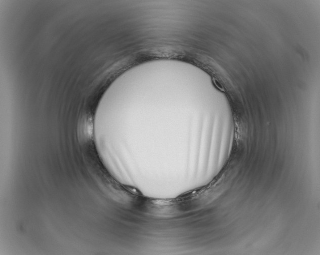 X0000110860095200907021424