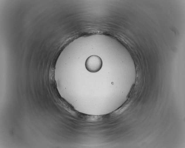 X0000110860096200907021424