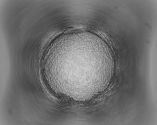 X0000110860097200907021424