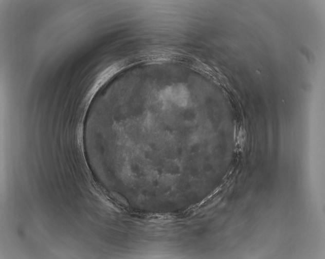 X0000110860099200907021424