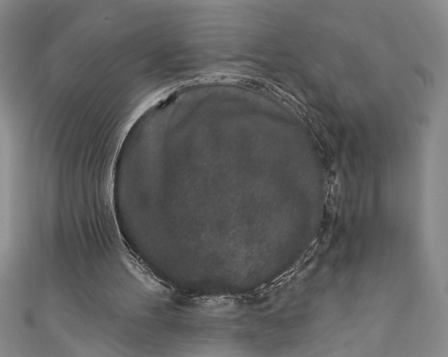 X0000110860100200907021424