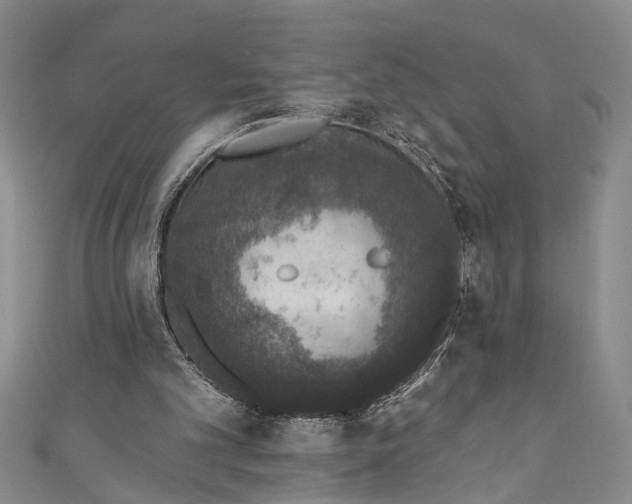 X0000110860101200907021424