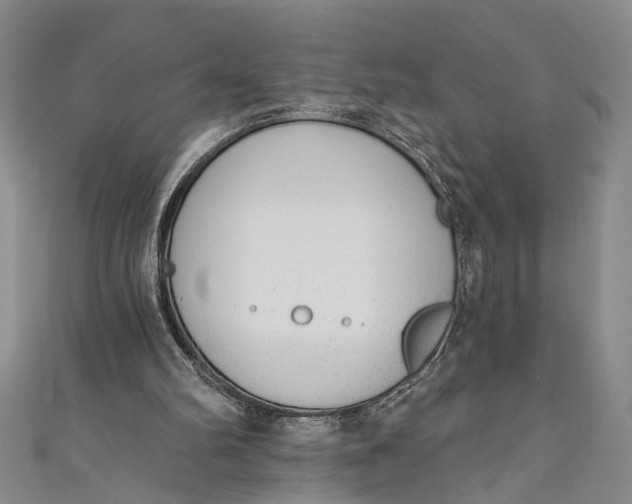 X0000110860102200907021424