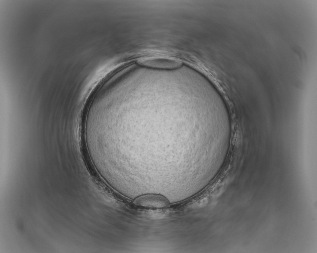 X0000110860103200907021424