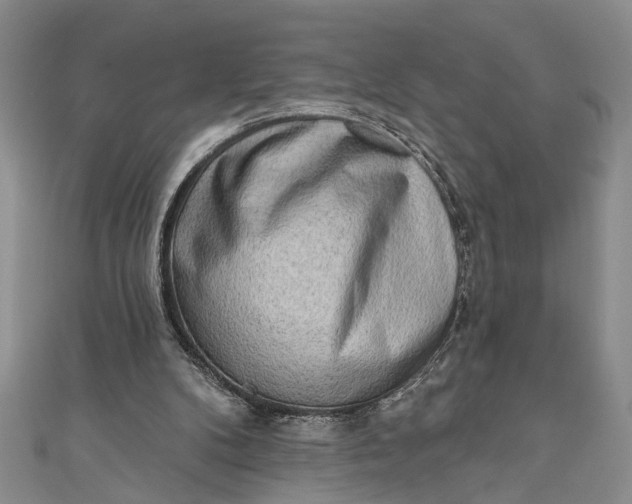 X0000110860104200907021424