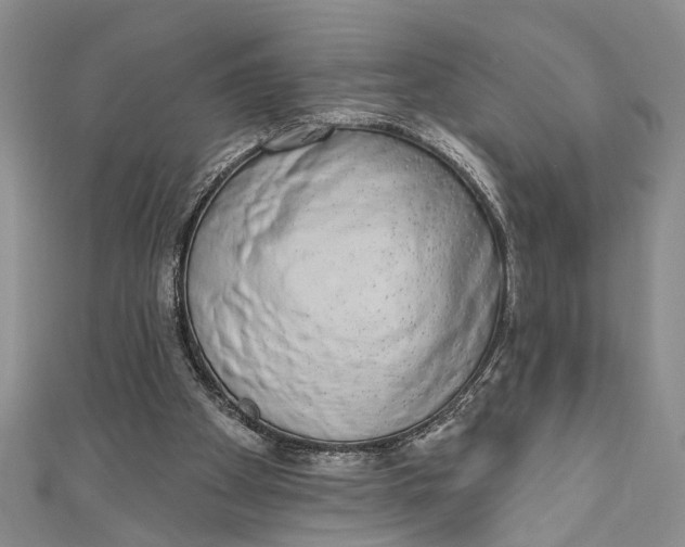 X0000110860105200907021424