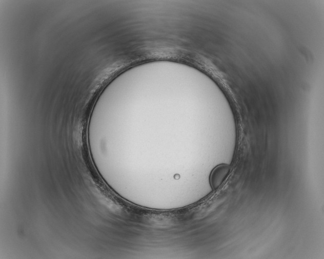 X0000110860106200907021424