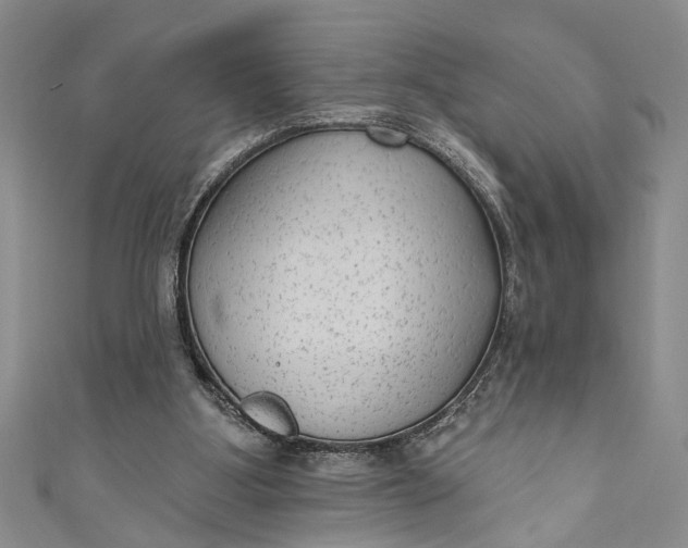 X0000110860107200907021424