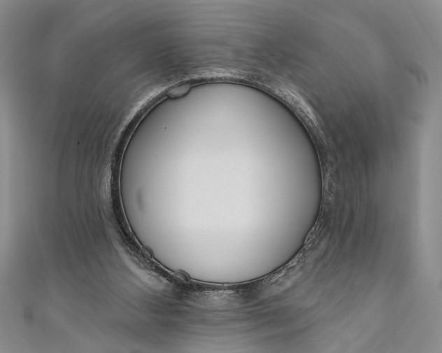 X0000110860108200907021424