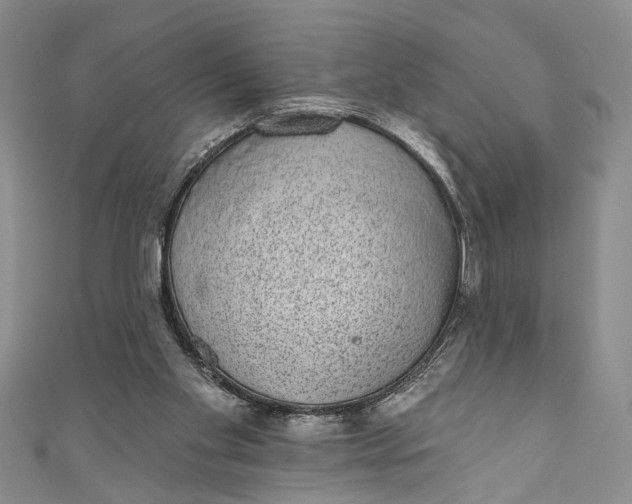 X0000110860109200907021424