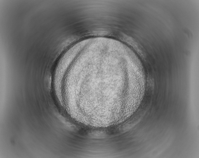 X0000110860110200907021424