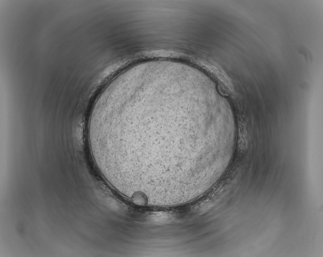 X0000110860111200907021424