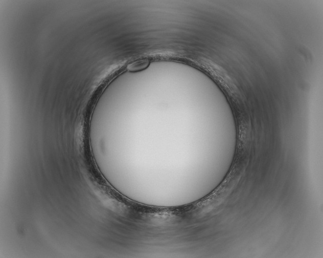 X0000110860112200907021424