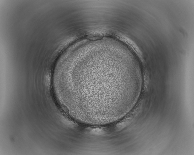 X0000110860113200907021424