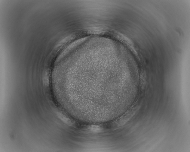 X0000110860114200907021424