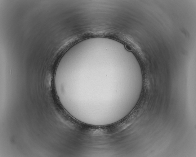 X0000110860115200907021424