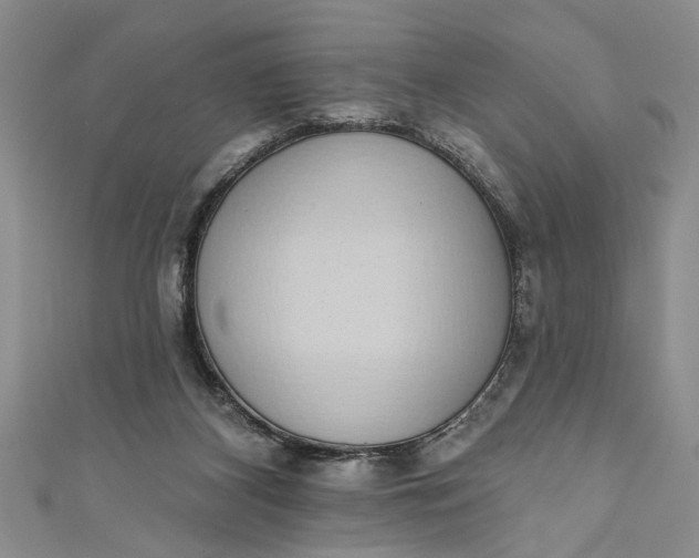 X0000110860116200907021424