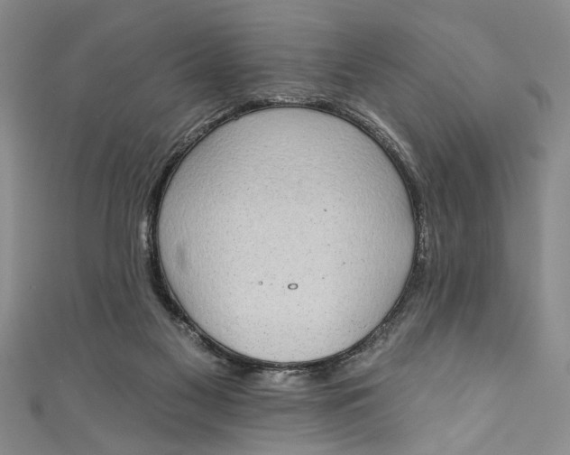 X0000110860117200907021424