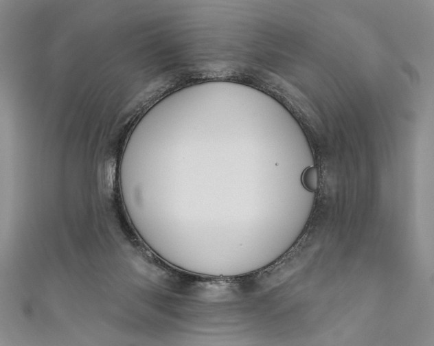 X0000110860118200907021424