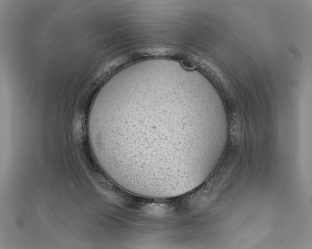 X0000110860119200907021424