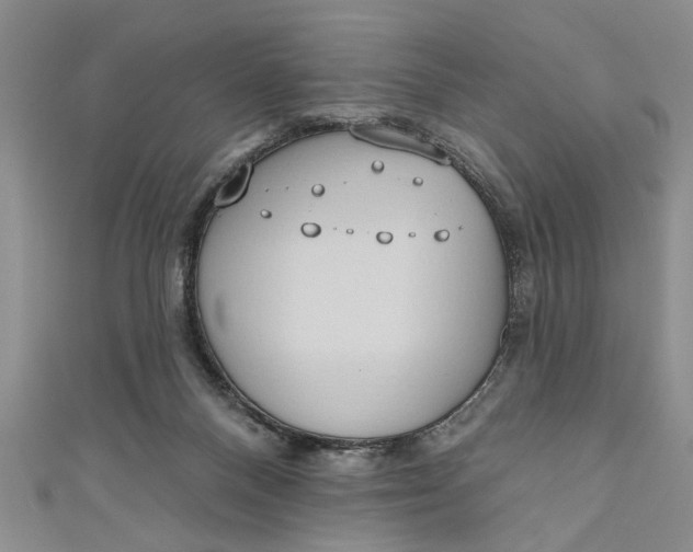 X0000110860120200907021424