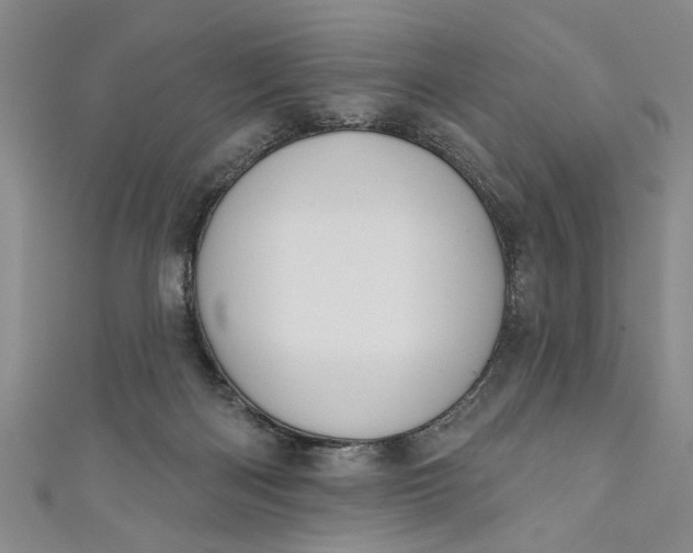 X0000110860122200907021423