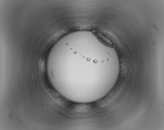 X0000110860123200907021423