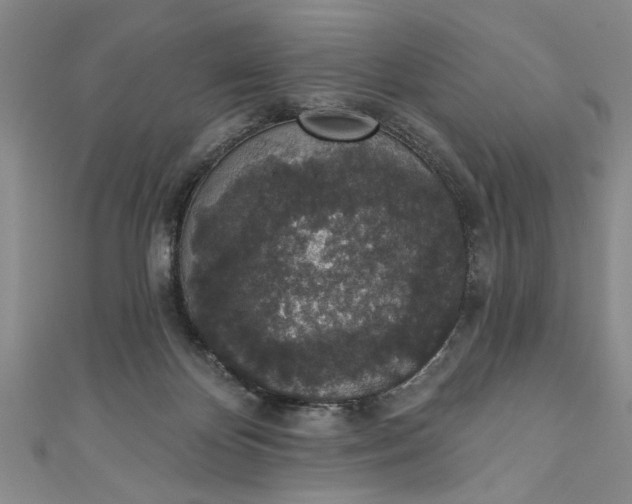 X0000110860124200907021423