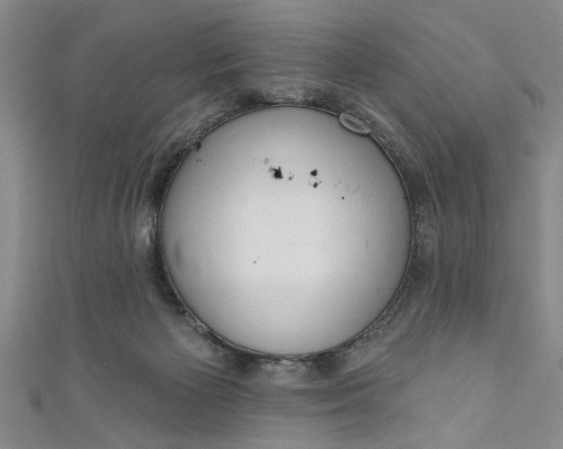 X0000110860125200907021423