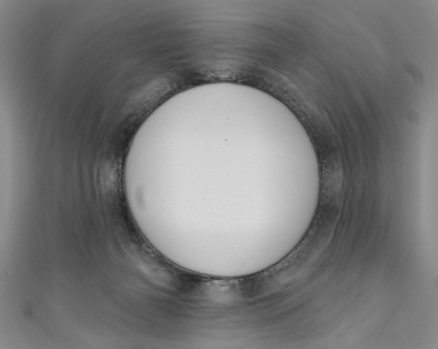 X0000110860126200907021423