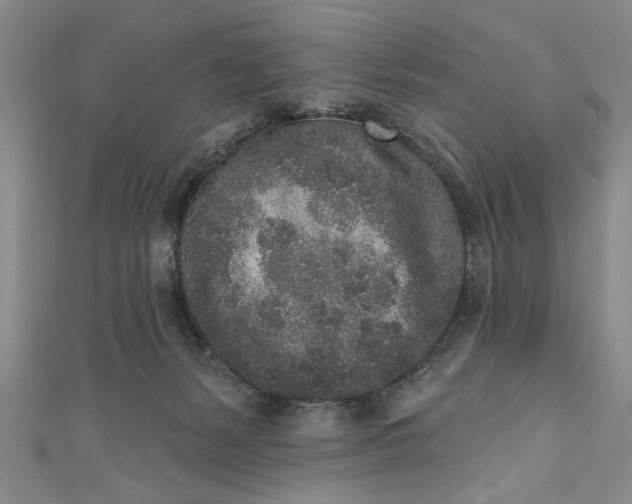 X0000110860127200907021423