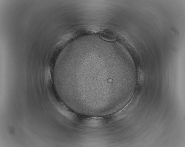 X0000110860128200907021423