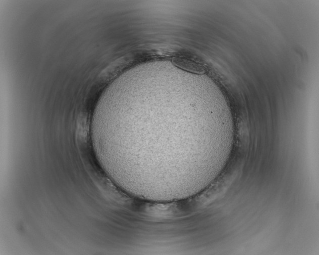 X0000110860129200907021423