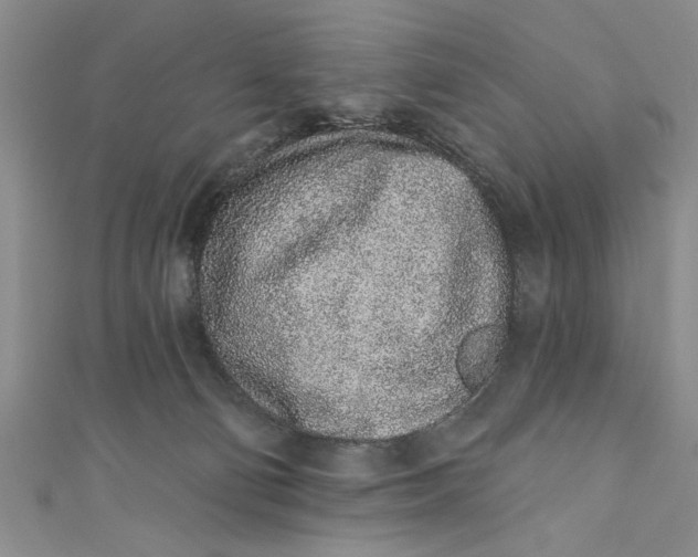 X0000110860130200907021423