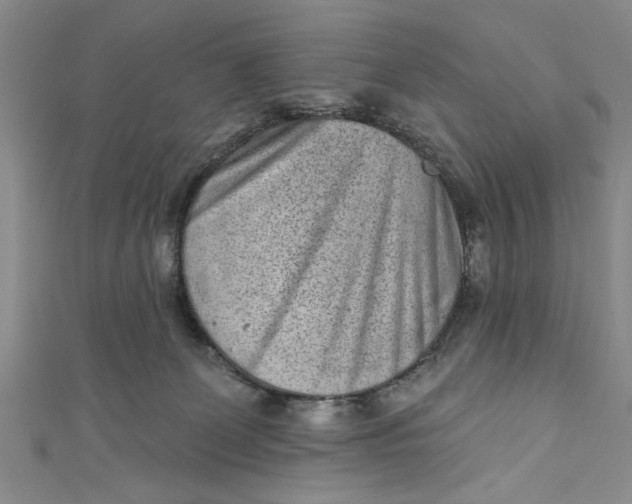 X0000110860131200907021423