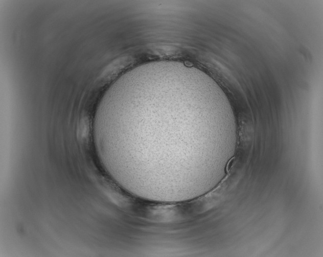 X0000110860132200907021423