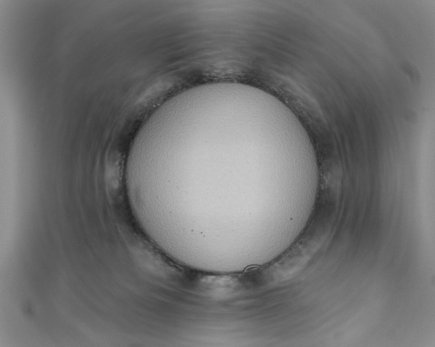 X0000110860133200907021423