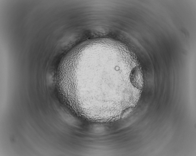 X0000110860134200907021423