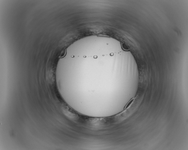 X0000110860136200907021423