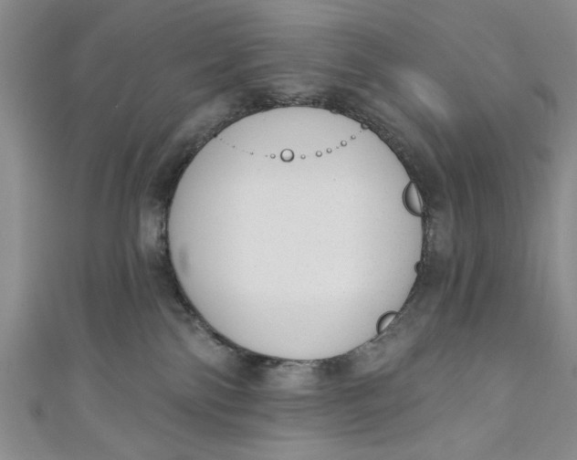 X0000110860138200907021423