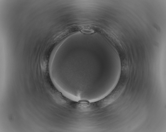 X0000110860139200907021423