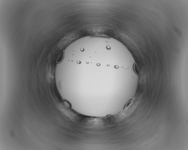 X0000110860140200907021423