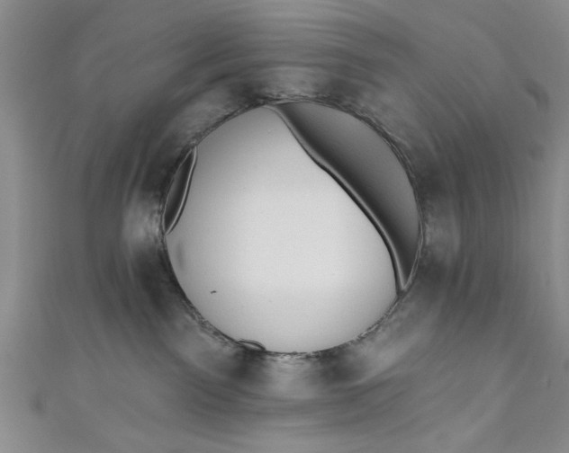 X0000110860141200907021423