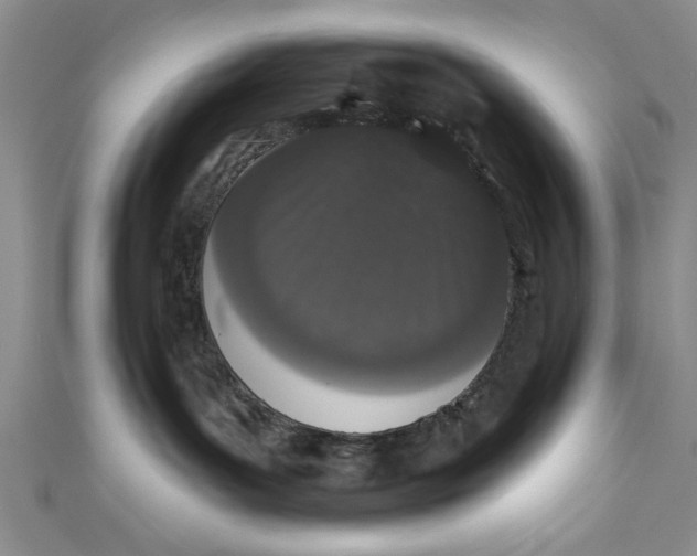 X0000110860143200907021423