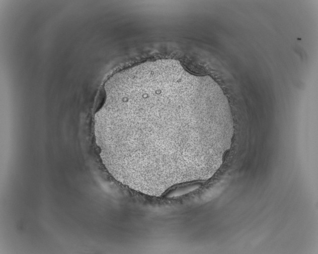 X0000110860144200907021423